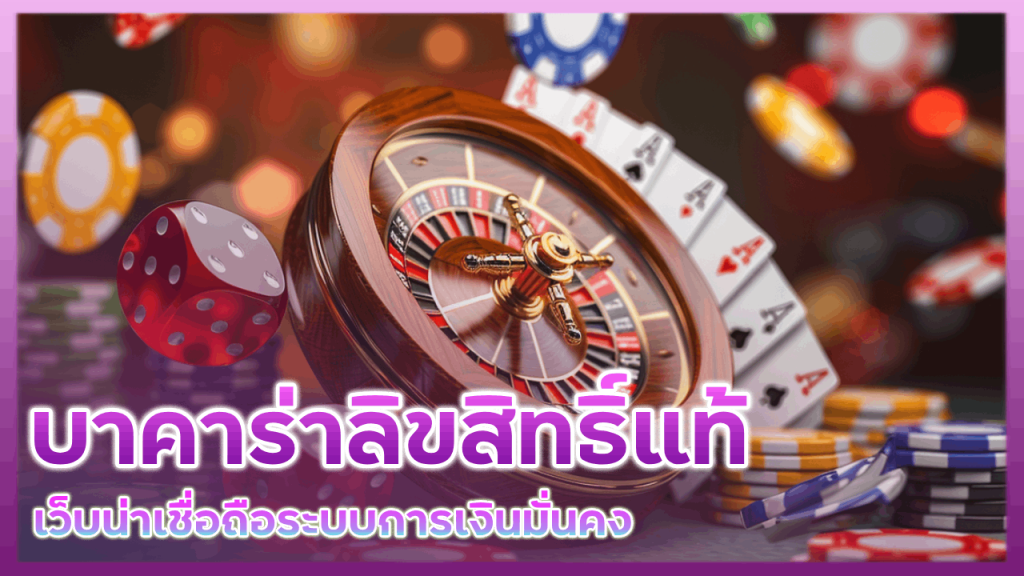 dolphin555